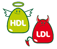 colesterol-hdl-ldl-biomedicina2